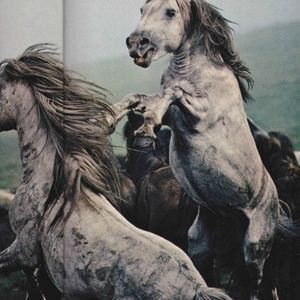 Meet your Posher, Rob